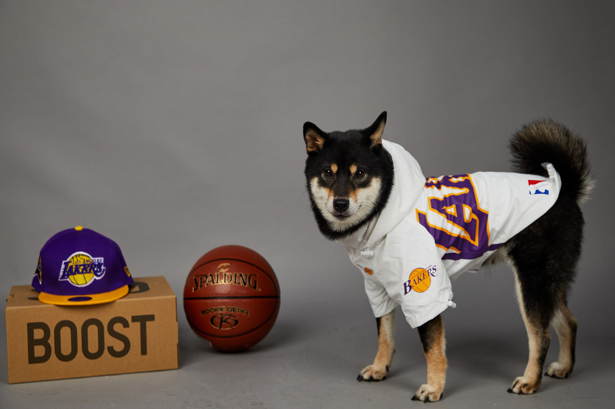 Polyester Dog Shell Jacket
