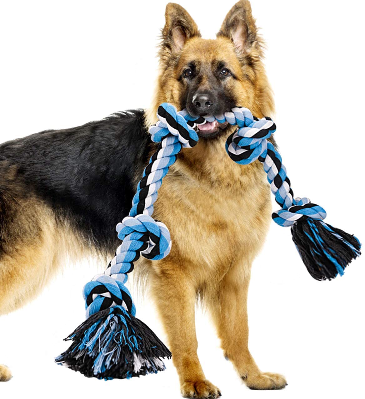 Pet Grinds And Bites Knots