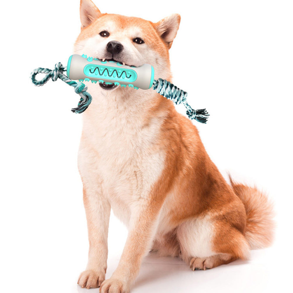 Gnaw-Resistant Molar Stick
