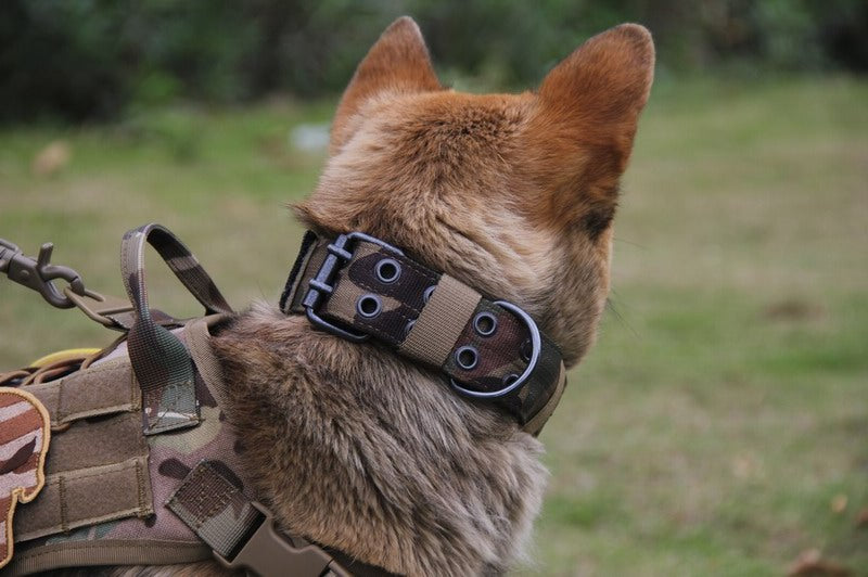 Five-Speed Adjustable Nylon Pin Buckle Dog Collar