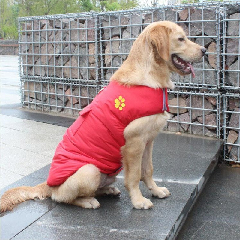 Winter Cotton Coat Dog Clothes