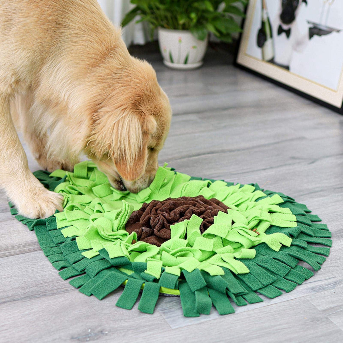 Dog Sniffing Training Mat
