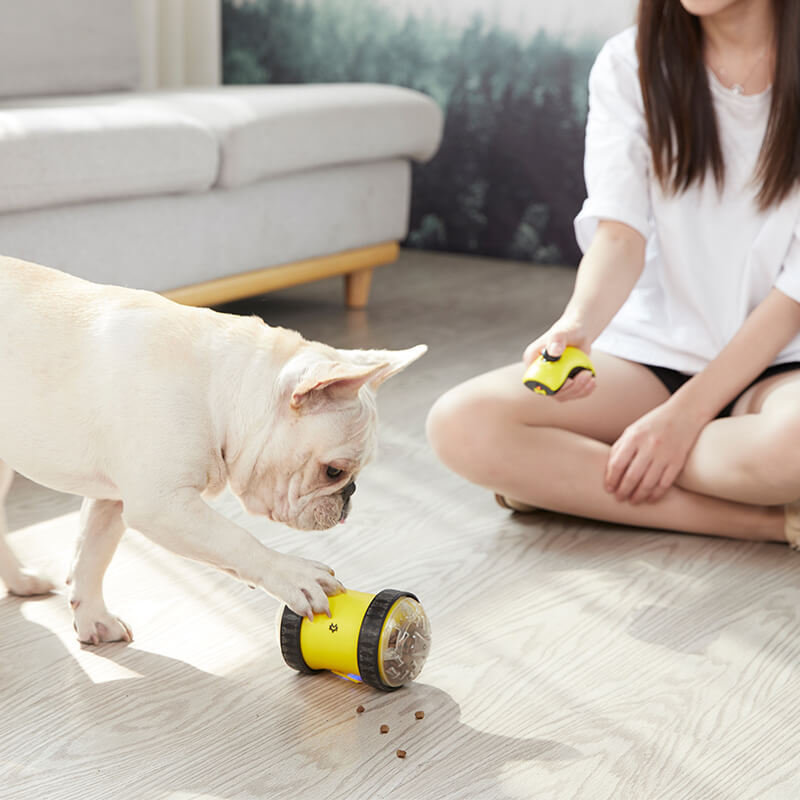 Remote Control Food Leaking Car
