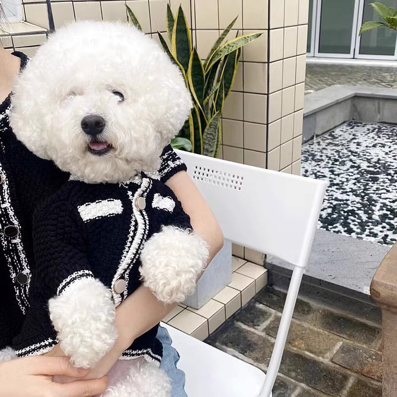 Korean Style Pearl Collar Puppy Sweater