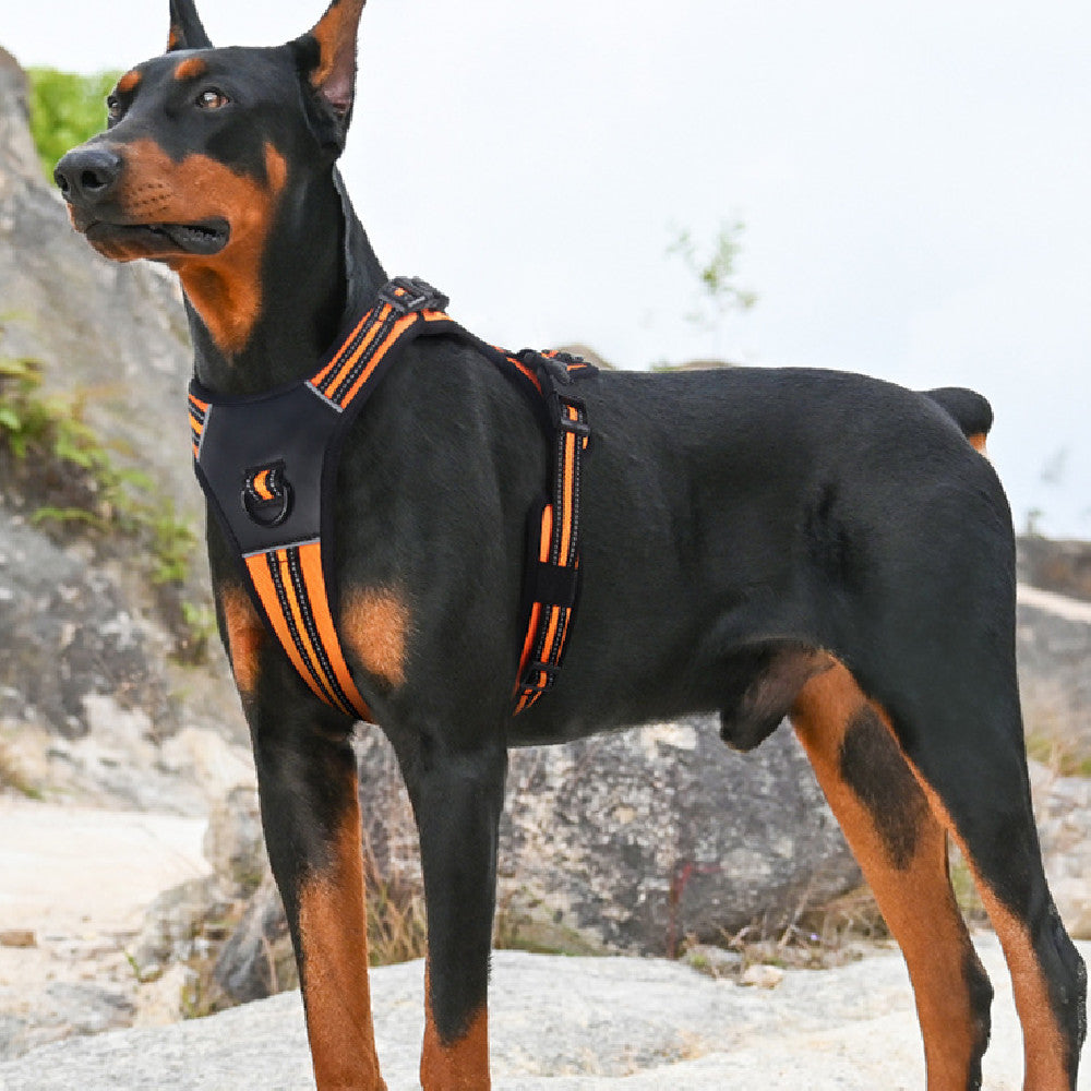 Dog Harness Vest-Style Dog Chest Strap