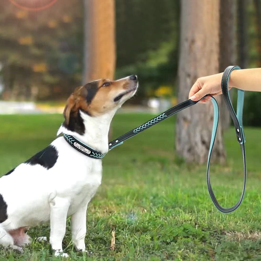 Engraved Anti-Lost Leather Dog Collar