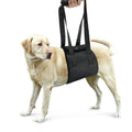 Dog Leash Auxiliary Belt
