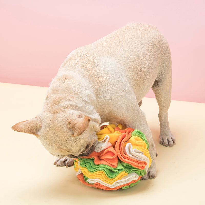 Interactive Snuffle Ball Puzzle Dog Toy