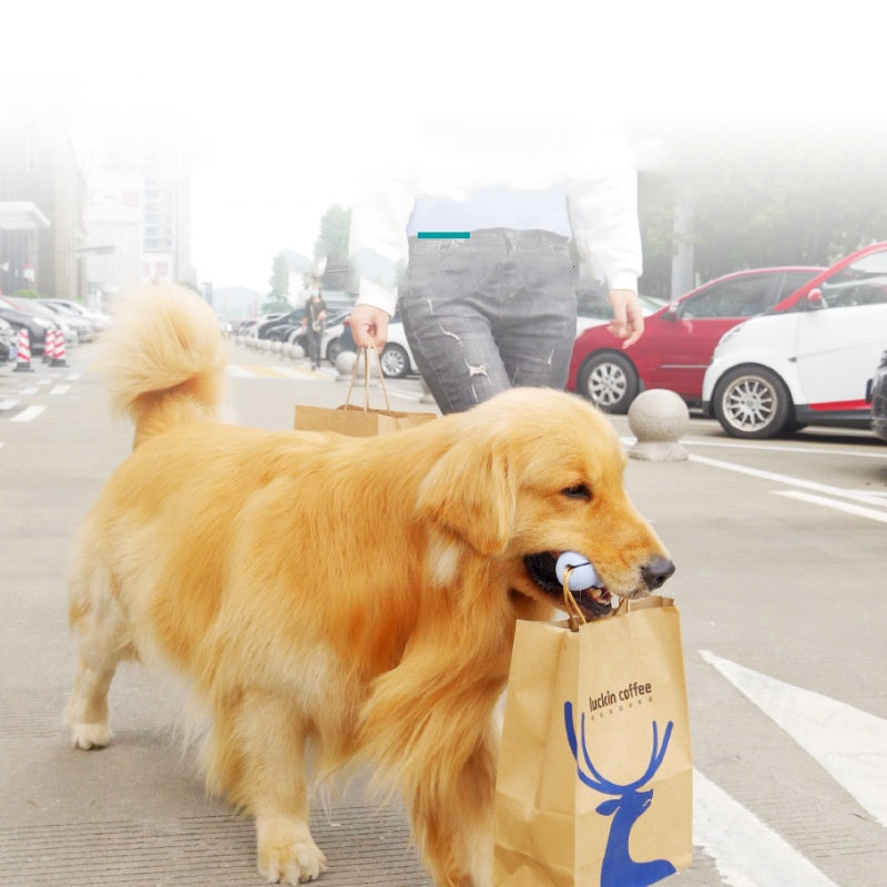 Molar Teeth Cleaning Dog Toy