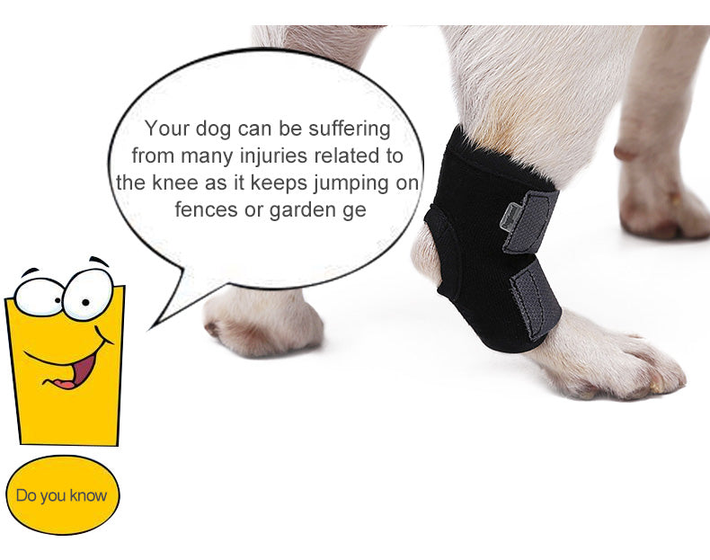 Fixed Recovery Dogleg Cover