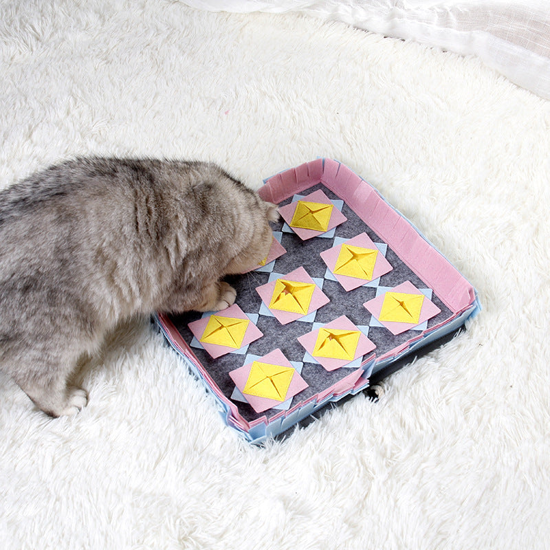 The Dog Sniffs The Mat