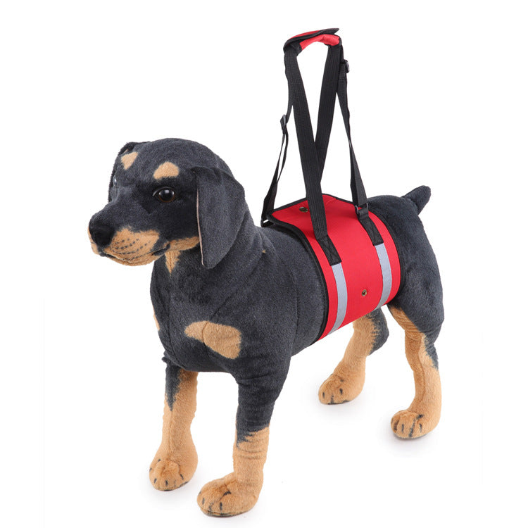 Dog Carrier With Pet-Handling Handle and Auxiliary Leash