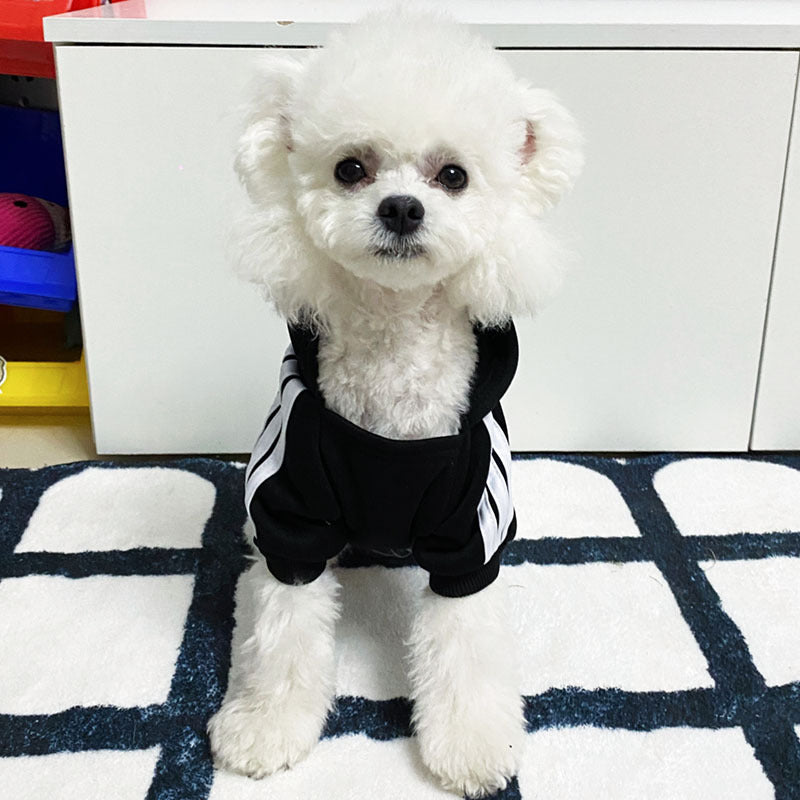 Cartoon Dog Clothes for Autumn and Winter