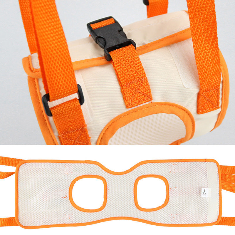 Assistive Rear-Leg Support Harness For Dogs With Disabilities