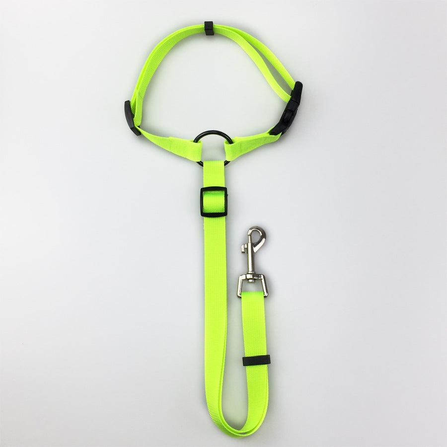 Nylon Pet Safety Leash