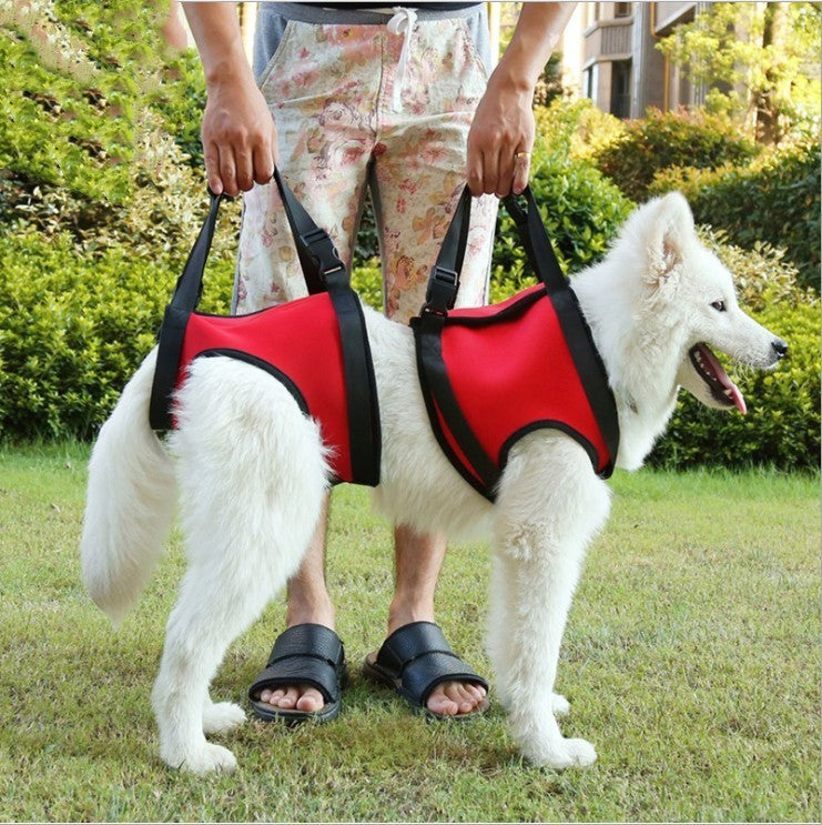 Pet Safety Protection Belt