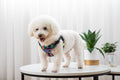 Vest-Style Dog Walking Harness Leash