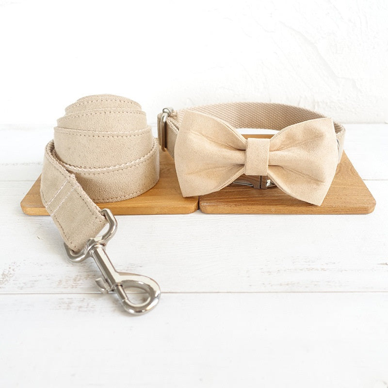 Dog Collar Traction Rope
