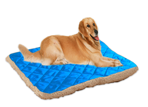 Pet Ice Silk Cushion