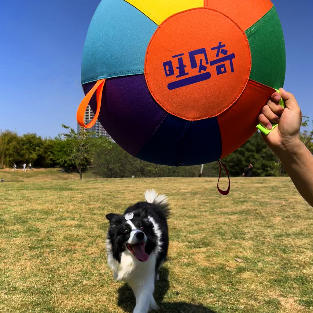 Colorful Inflatable Dog Toy Ball
