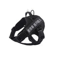Simple Pet Harness