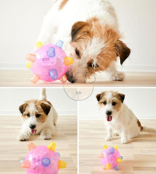 Glowing Dancing Ball Dog Toy