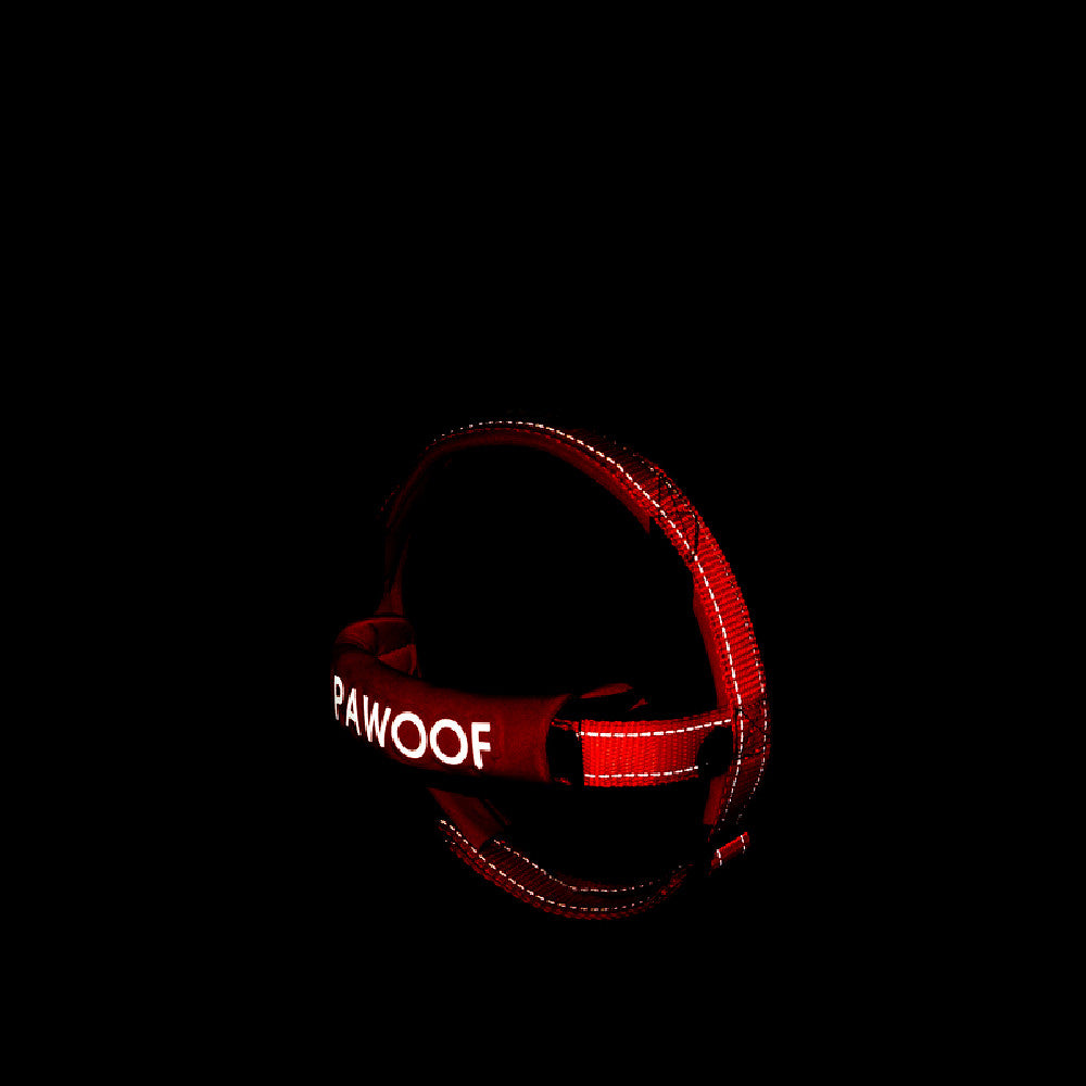 Leash On Dog Chest Strap