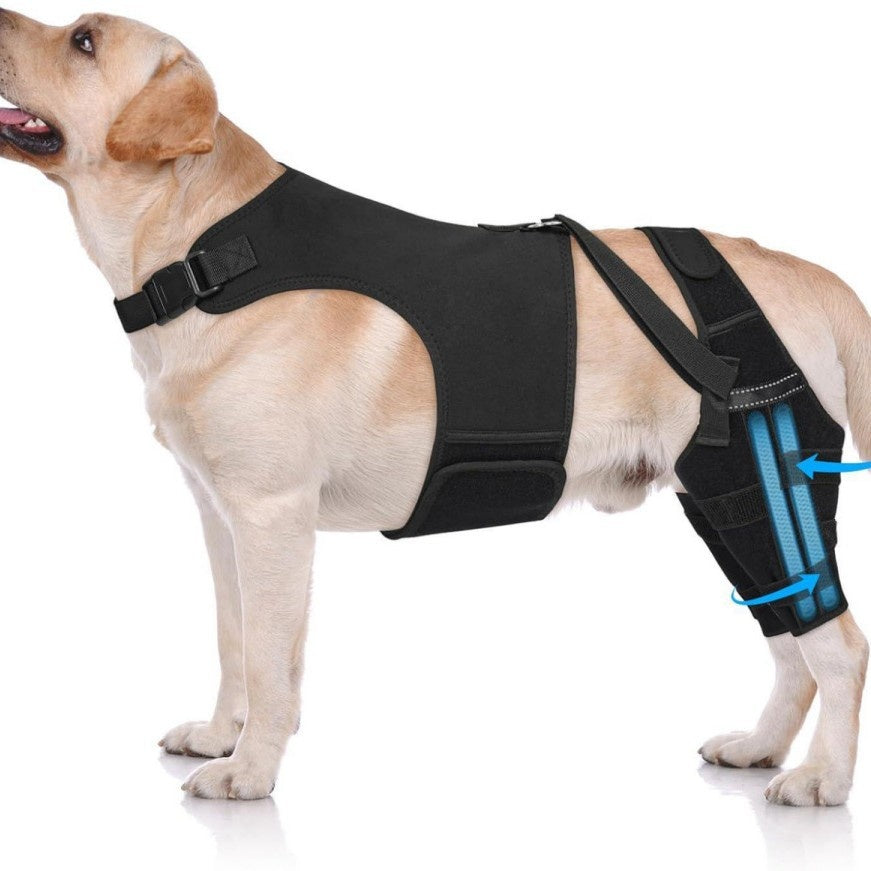 Dog Rear Back And Hind Leg Protective Cover