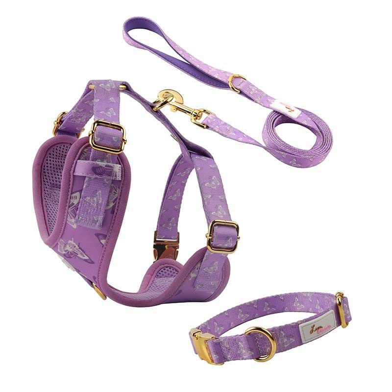 Extra-Large Butterfly Dog Collar Leash Set