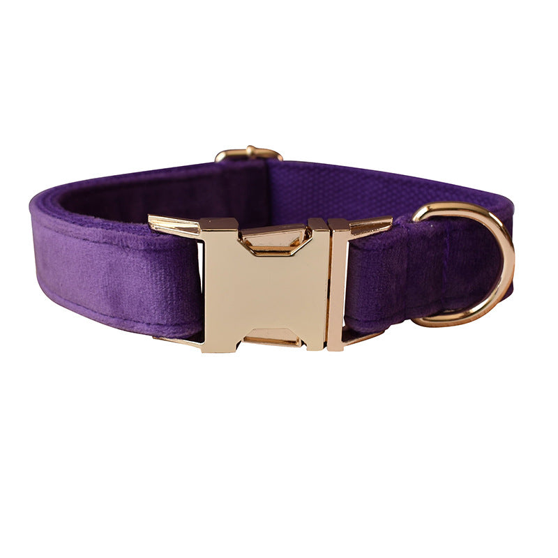 Dog Leash Pet Collar With Alloy Carabiner