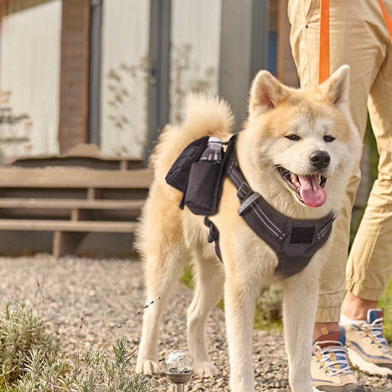 Waterproof Dog Walking Chest Strap