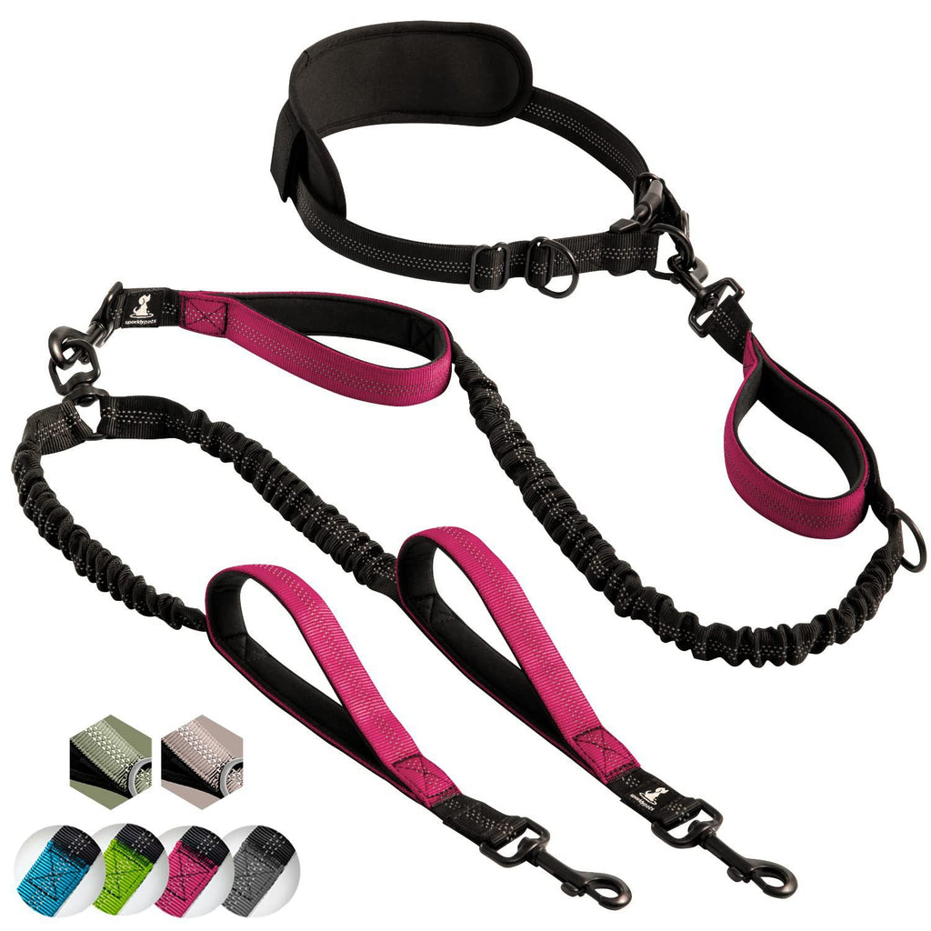 Multifunctional Reflective Dog Leash