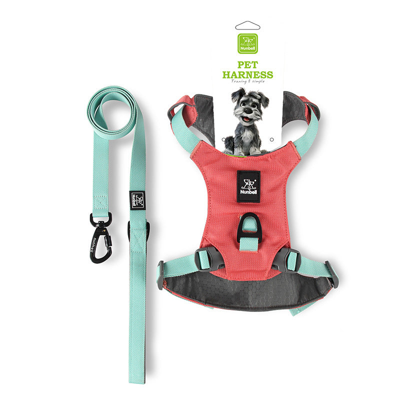No-Pull Dog Leash Set For All Sizes