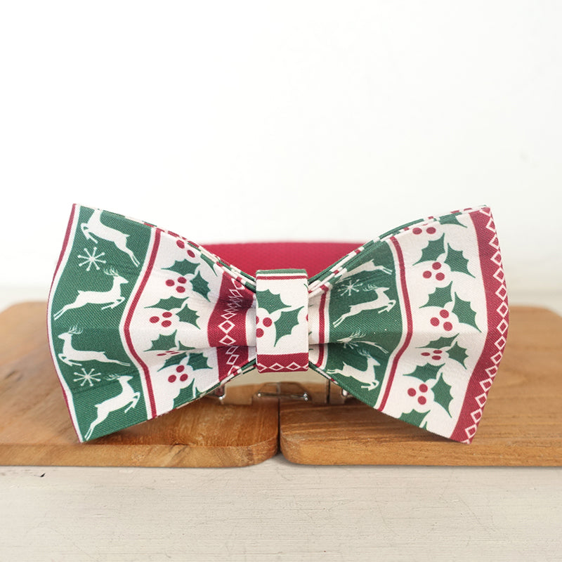 Thick Soft Dog Collar