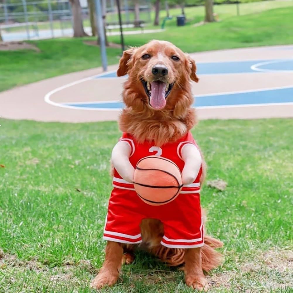 Dog Basketball Costume With Ball