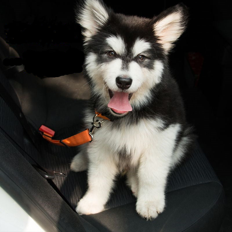 Adjustable Reflective Dog Car Seat Belt