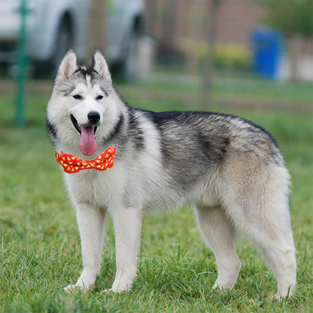 A Large Dog Bow On A Christmas Pet Collar