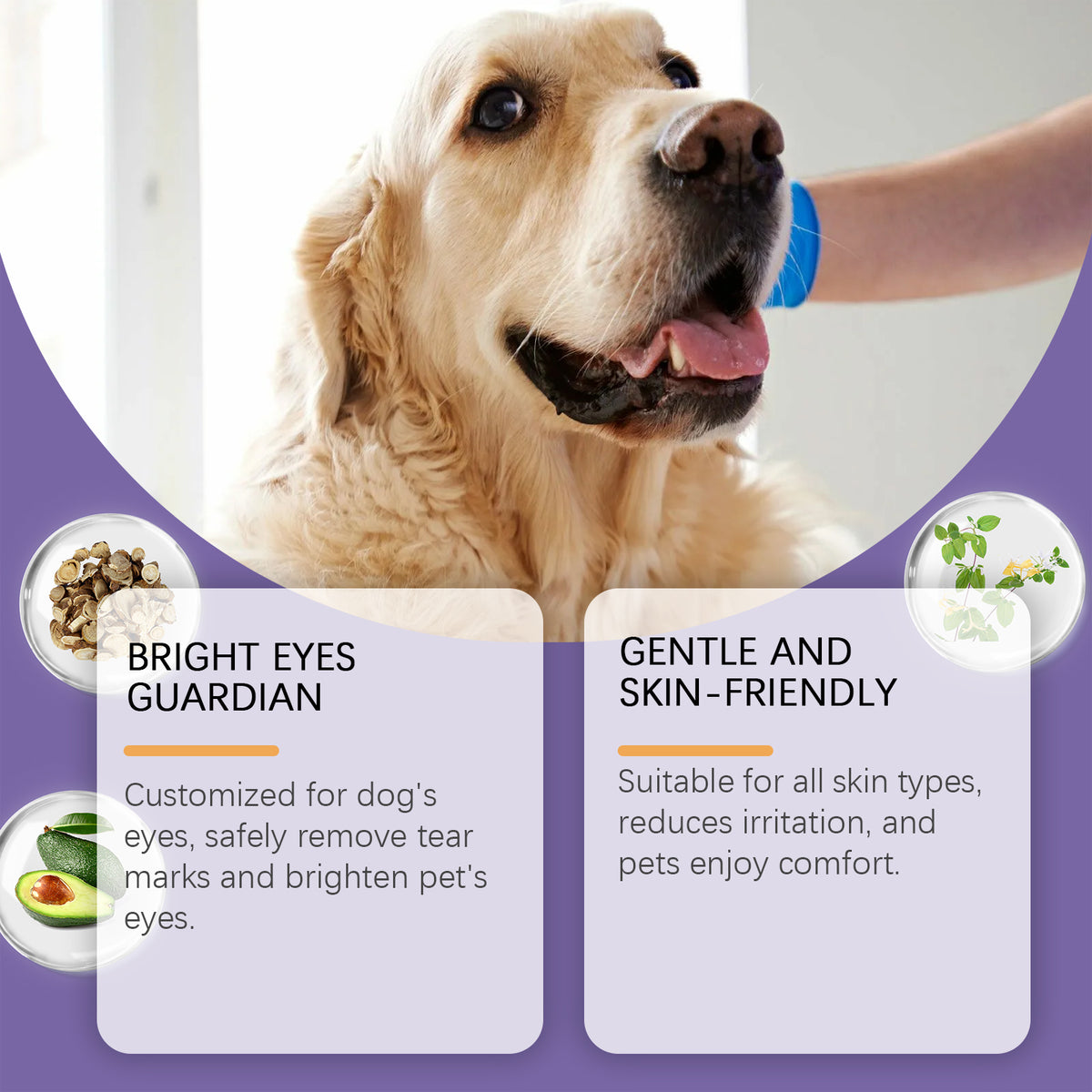 Dog Tear Stain Paste, Gentle Tear Stain Remover For Dogs With Honeysuckle, Sophora Flavescens & Coconut Oil, Soothing Eye Brightening Cream