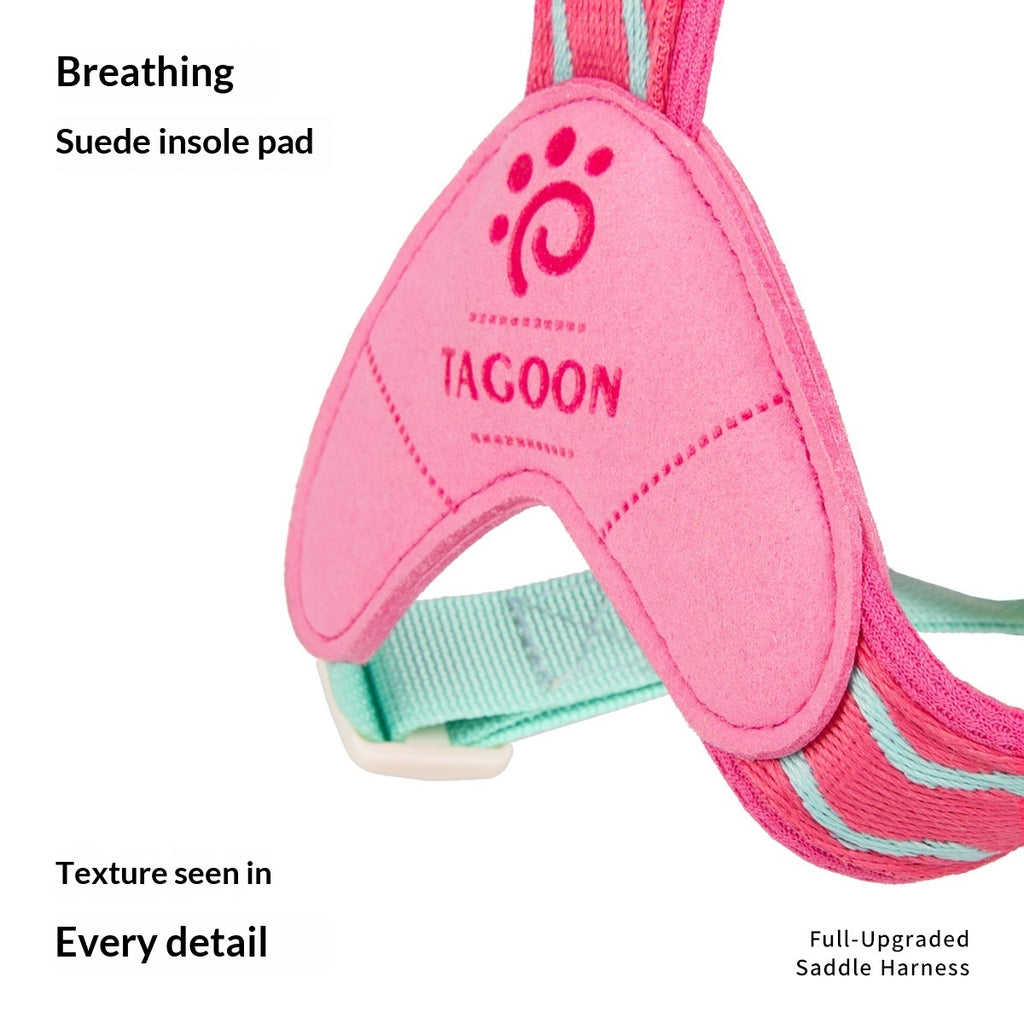 Cheerful Colorful Pet Harness