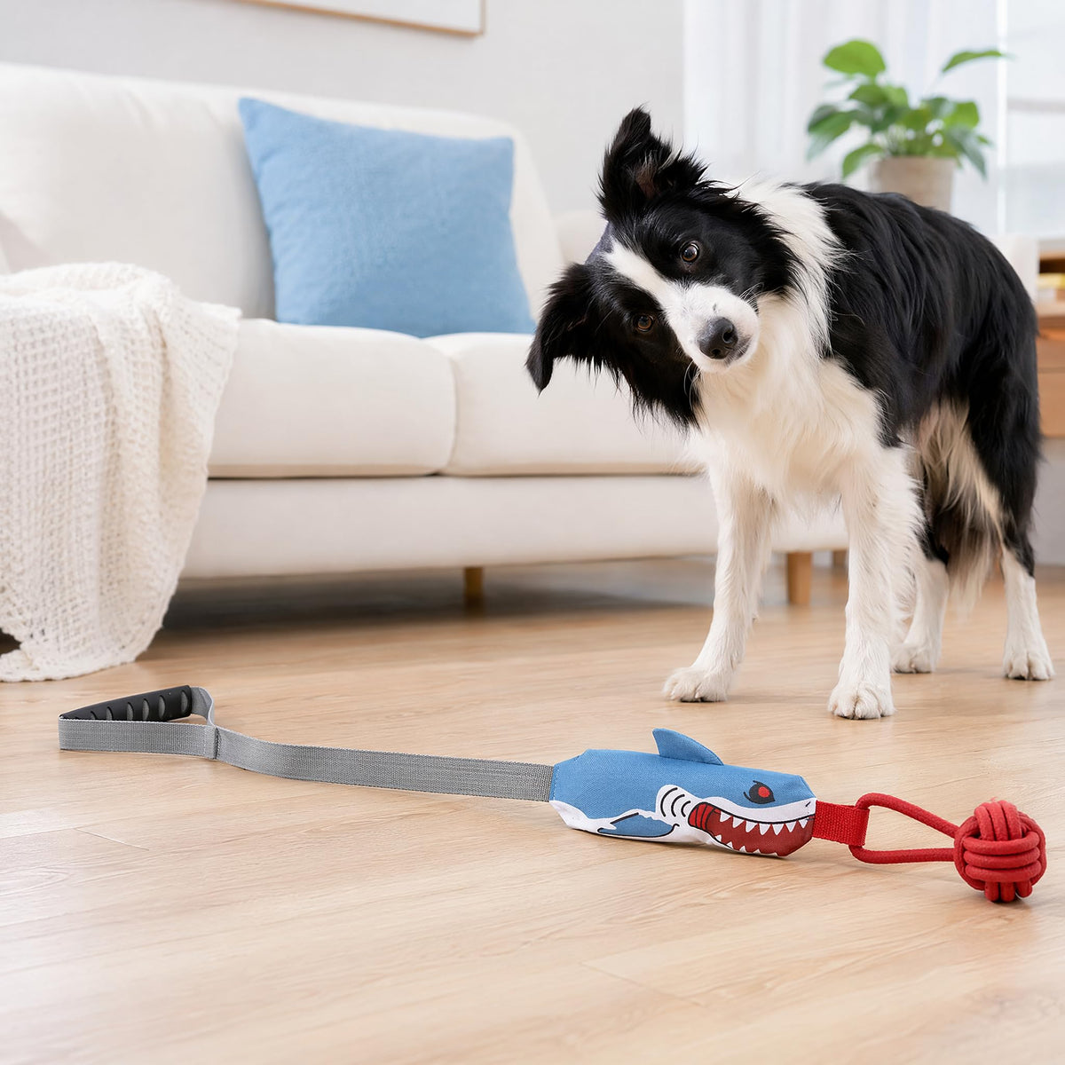 Shark Dog Tug Of War Toy