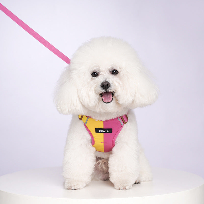 Reflective Two-Tone Dog Harness and Leash