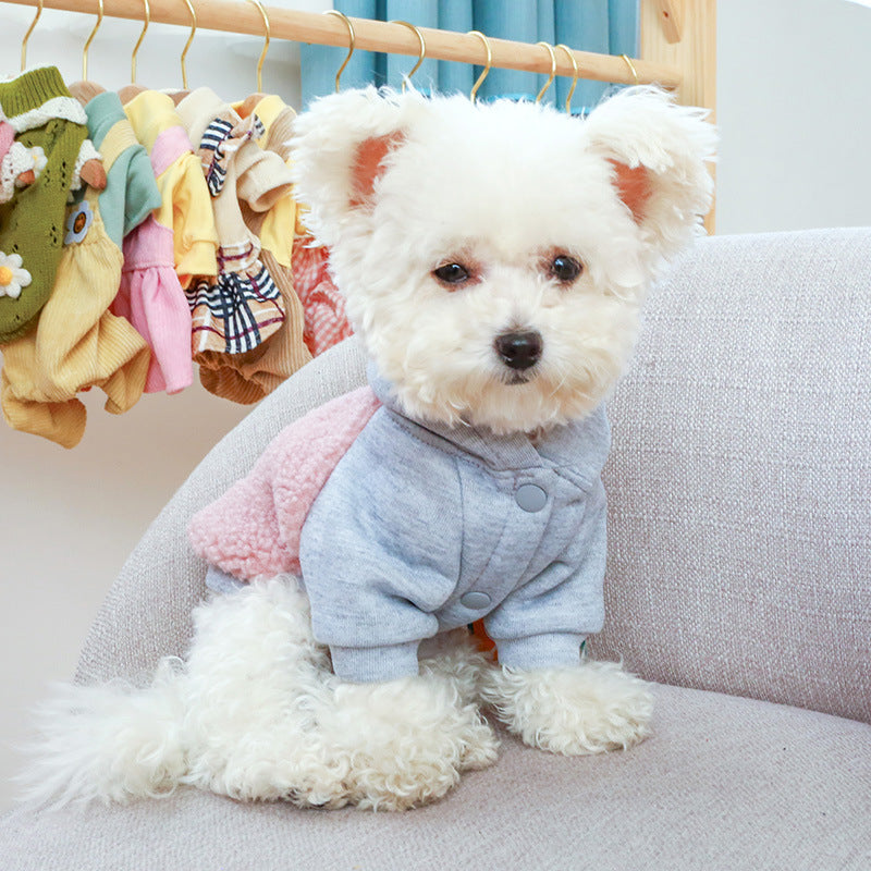 Warm Two-Legged Pet Hoodie