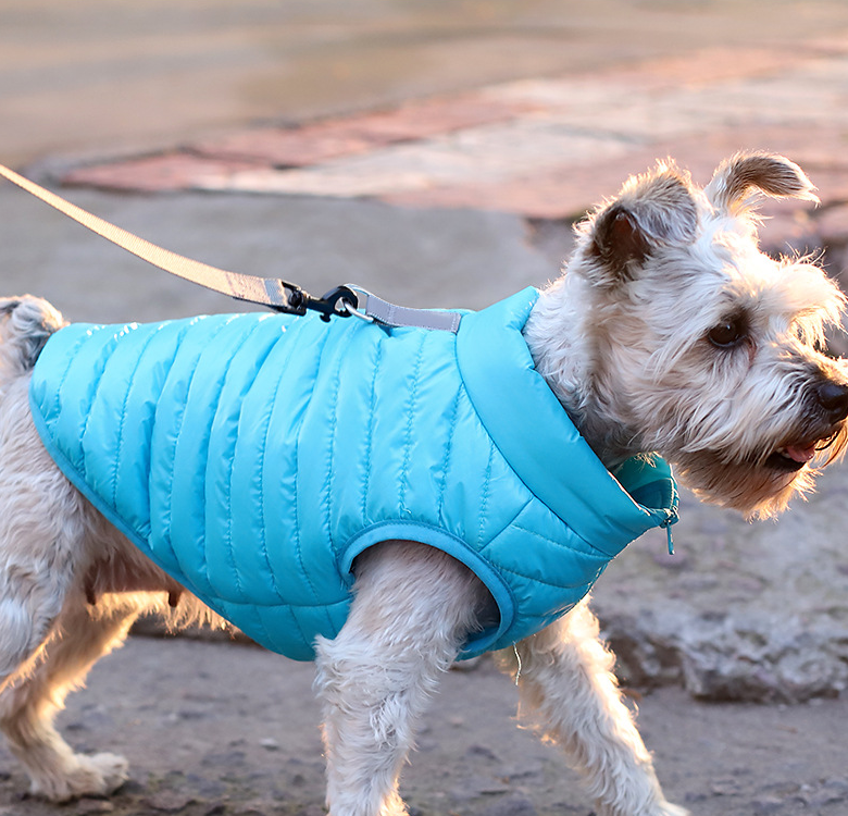 Autumn Winter Nylon Zipper Puppy Jacket