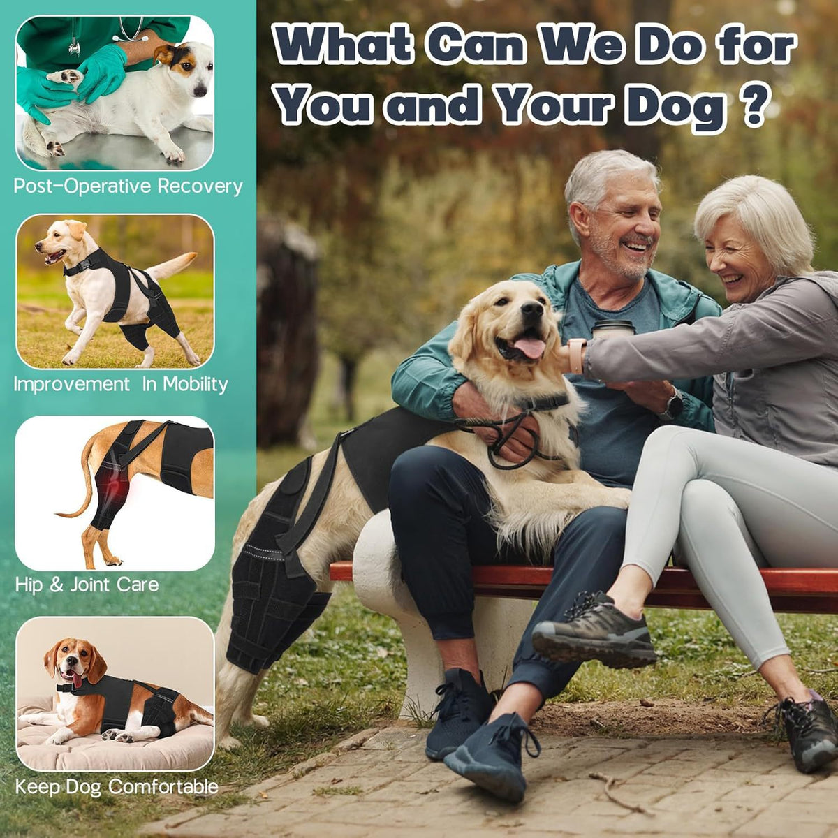 Pet Dog Rear Leg Protective Gear