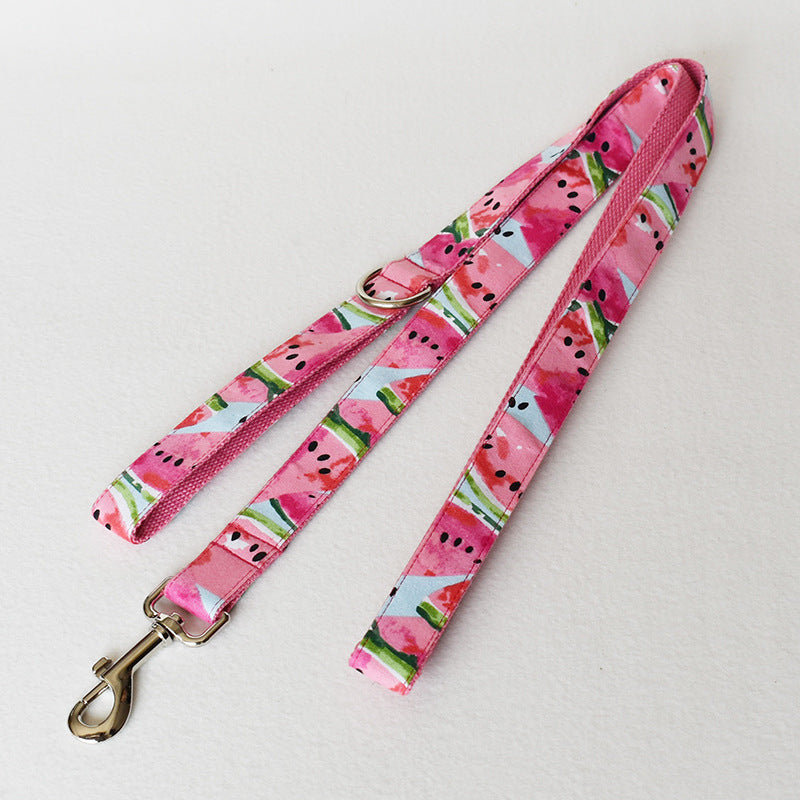 Dog Collar And Pet Leash