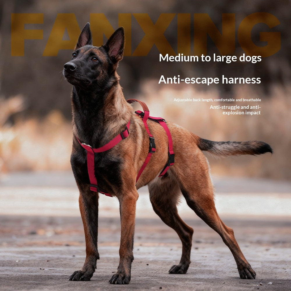 Anti-Pull Dog Leash Harness