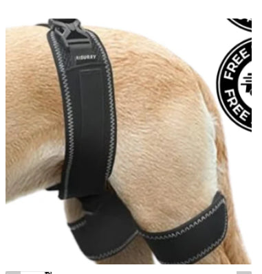 Dog Hip Support Belt