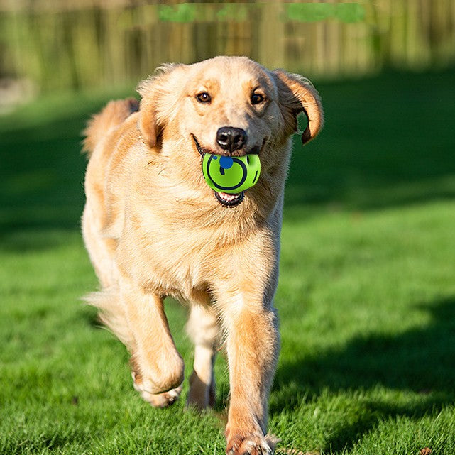 Dog Toy Anti-Stuffy Gadget Bite-Resistant