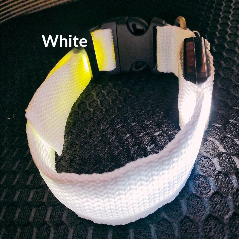 USB-Charging Glow-in-the-Dark Dog Collar