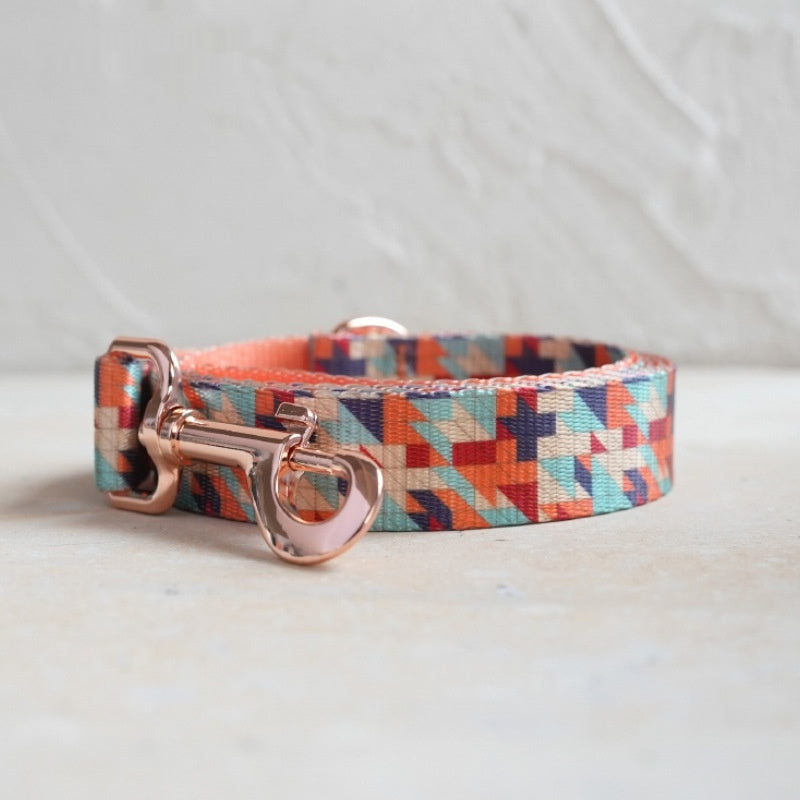 Nylon Pet Collar and Leash Set